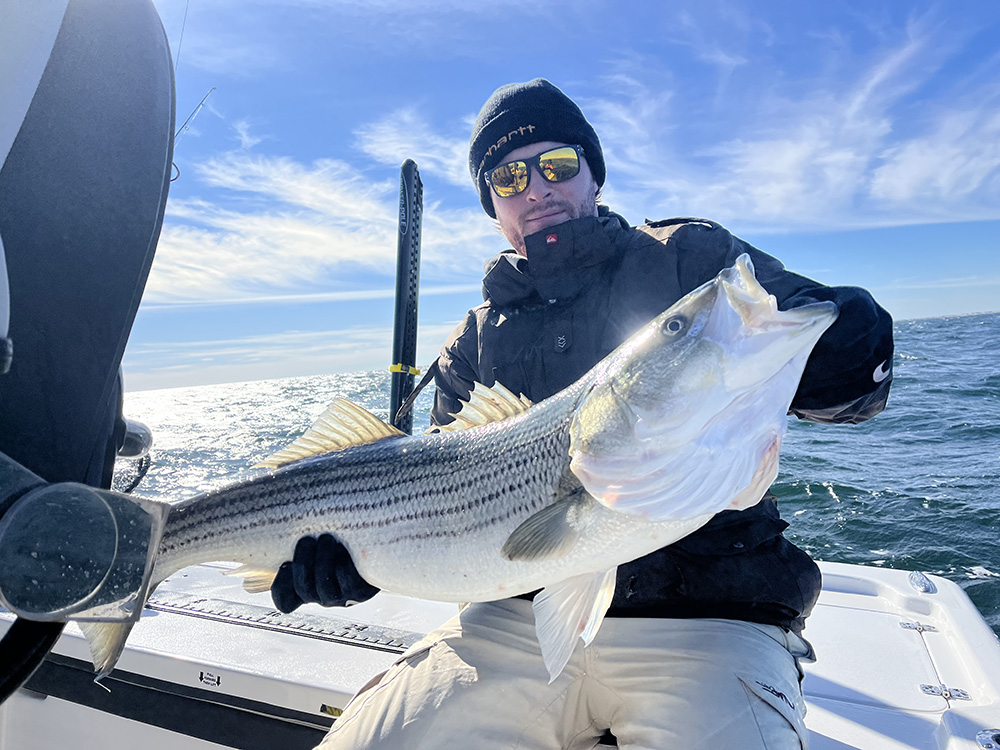 striped bass catch aboard Jersey Shore fishing charter in Belmar NJ